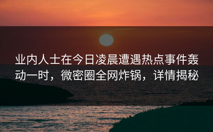 业内人士在今日凌晨遭遇热点事件轰动一时，微密圈全网炸锅，详情揭秘